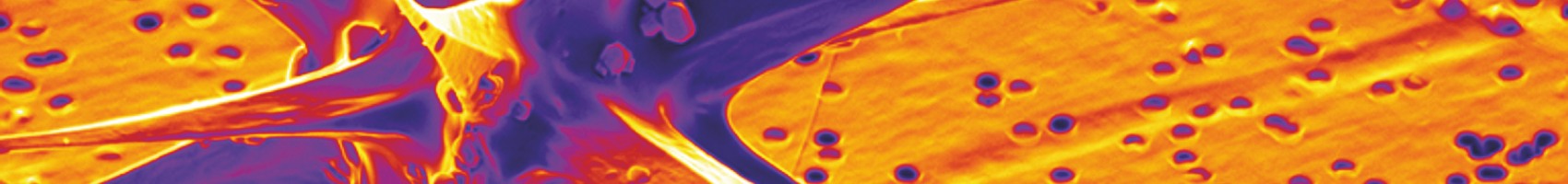 An international conference with four parallel sessions