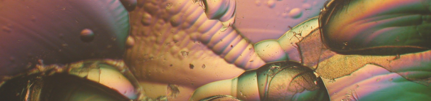 Including the RMS International Scientific Imaging Competition