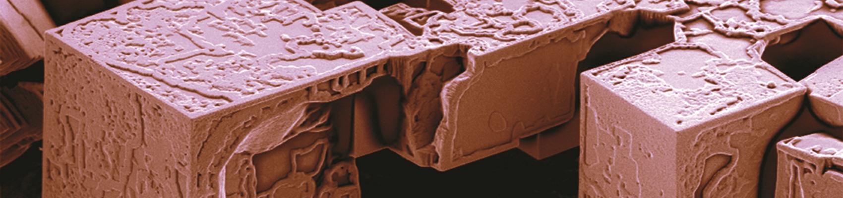 Europe's largest microscopy and imaging exhibition with over 100 companies