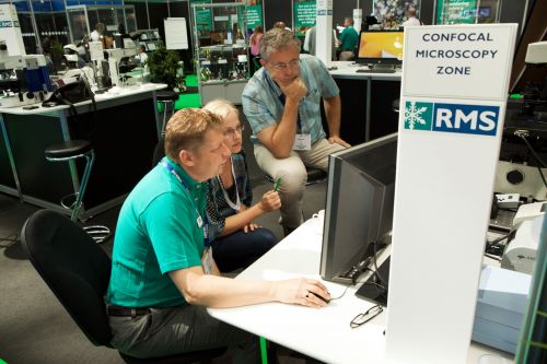 13867-246 (Large).jpg