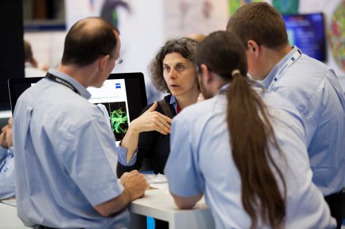 13867-198 (Large).jpg