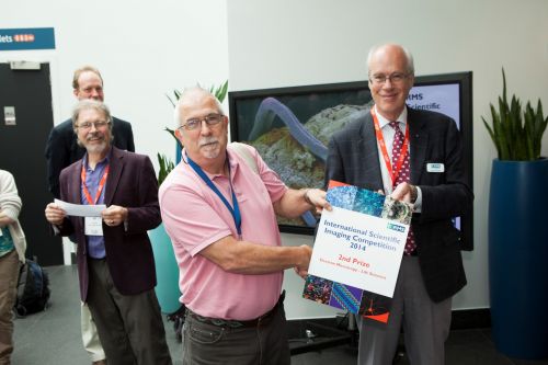 13867-254 (Large).jpg