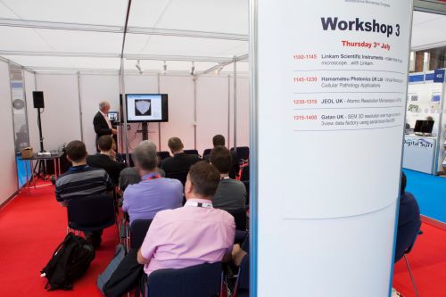 13867-387 (Large).jpg