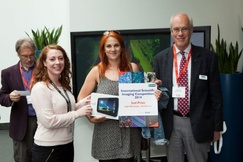 13867-258 (Large).jpg