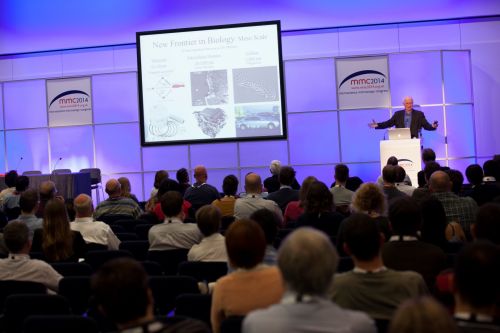 13867-080 (Large).jpg