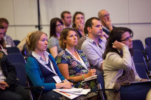 13867-211 (Large).jpg