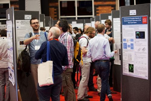 13867-284 (Large).jpg