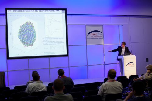 13867-250 (Large).jpg